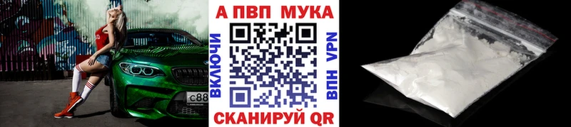 Alfa_PVP СК Динская